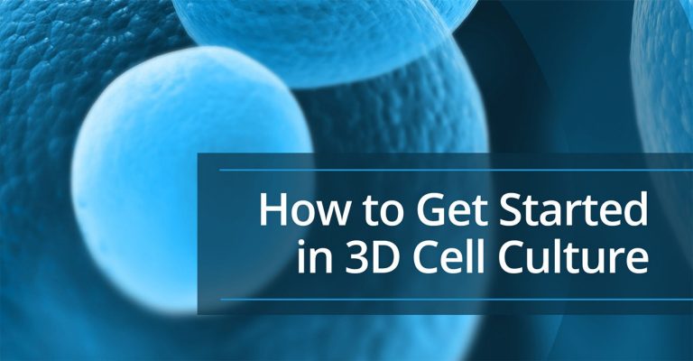 如何开始在3D细胞培养